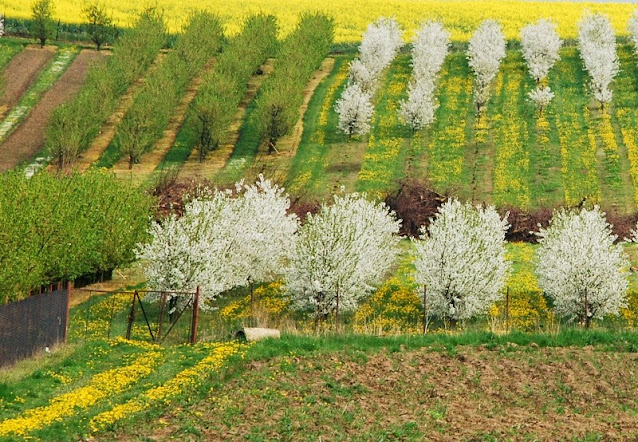 sady trzebnickie kocie góry krajobraz naturalny krajobraz wiejski