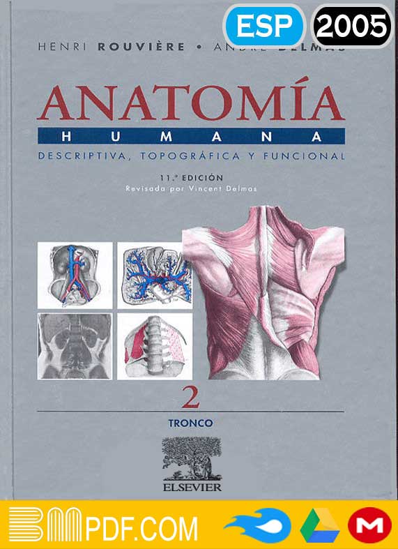 Rouviére & Delmas Anatomía Humana volumen 2 11va edición PDF