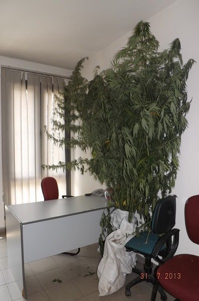 xasis_agia_varvara_imathias_20130801_01.jpg