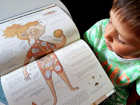 Jak to działa. Ciało człowieka - Nikola Kucharska - Nasza Księgarnia - książeczki i gry dla dzieci - Trefl - puzzle edukacyjne - moje ciało - mały chirurg - operacja - gra zręcznościowa 