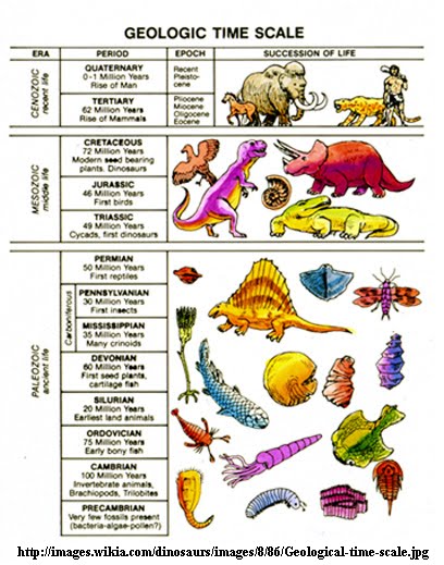 geological time scale diagram. the Geological time scale