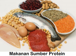 Makanan SUmber Protein