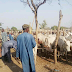 Three killed as bomb explosion rocks cattle market in Taraba