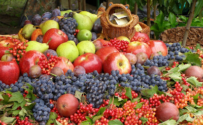 Fruits Benefits for Better Health fruit name