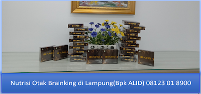  PROMOSI, 08123 01 8900 (Bpk. Alid), Nutrisi Otak Brainking di Lampung