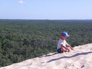 forest below Pyla sand mountain