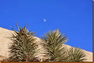 IMG_9758