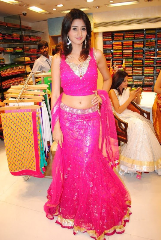 Hyderabad New Sexy Model Shamili Cute Navel Show wallpapers