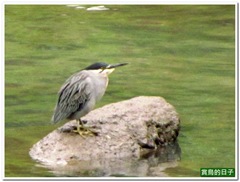 20120311_081730_001_WuLia