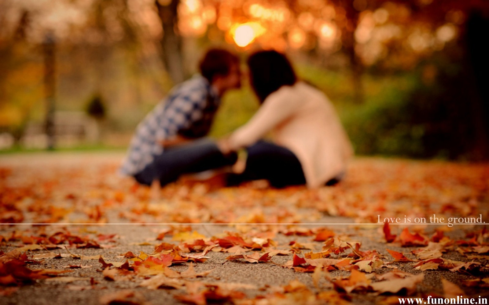 Autumn Romantic Love