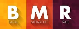 기초 대사량(BMR)이란? 다이어트를 위한 기초 대사량 계산법