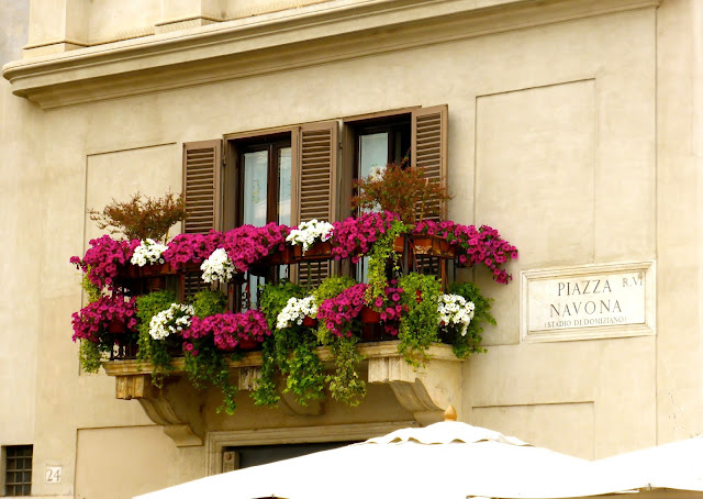 Roma-Piazza Navona