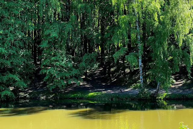 Ландшафтный заказник «Загорье», Герценский парк (Парк имени Герцена), Большой Герценский пруд