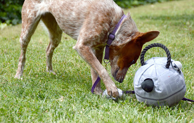 Death Star plushy