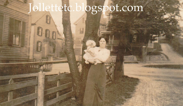 Woman and Poodle 1915 relative of Mary Theresa Sheehan Killeen Walsh  https://jollettetc.blogspot.com