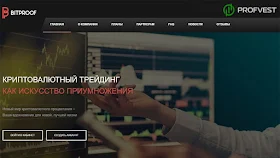 Анализ работы Bitproof