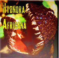 http://botany.org/Parasitic_Plants/Hydnora_africana.php