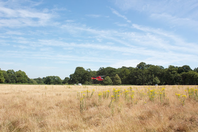 Richmond Park