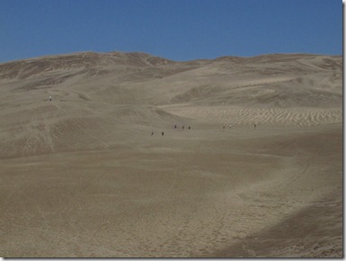 503 great dune (640x480) (2)