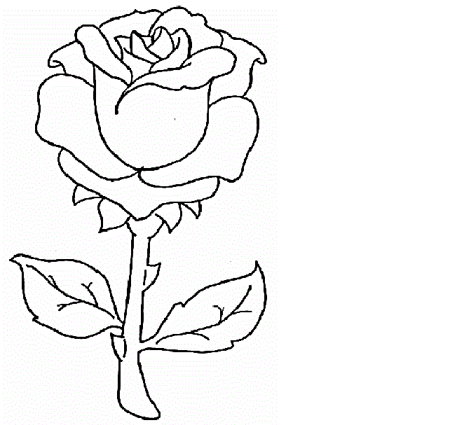 Download colours drawing wallpaper: Flower Drawing Colour Drawing ...
