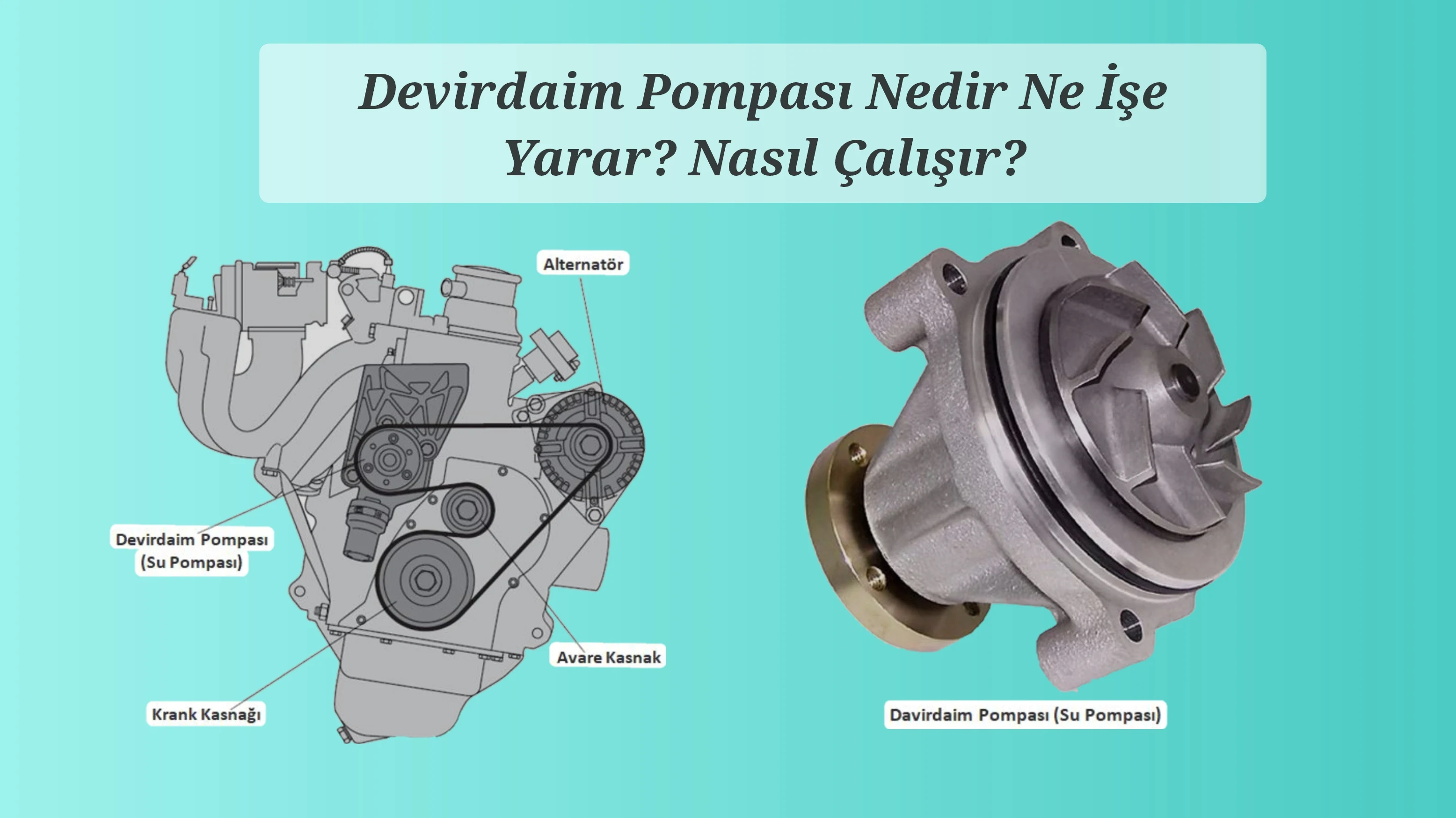 Devirdaim Pompası Nedir Ne İşe Yarar? Nasıl Çalışır?