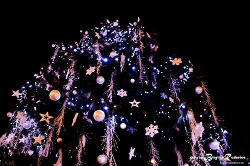 event_20111123_xmastree