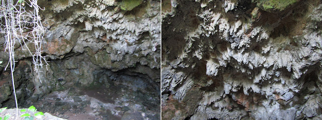 Cova de l'Olla al torrent de Sant Marc