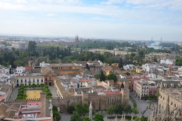 Visitas imprescindibles en Sevilla