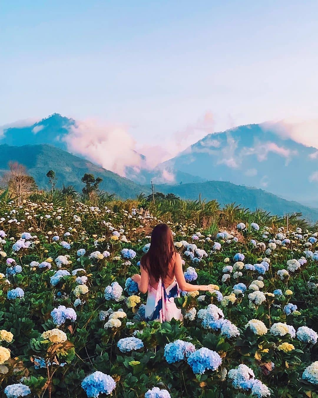 Desa Munduk Singaraja, menawarkan keindahan alam pegunungan yang sejuk dengan perkebunan cengkeh, kopi, air terjun dan danau Tamblingan di Buleleng Bali.