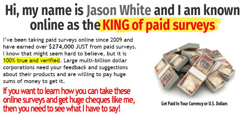 Make money online with paid surveys: Make money from home