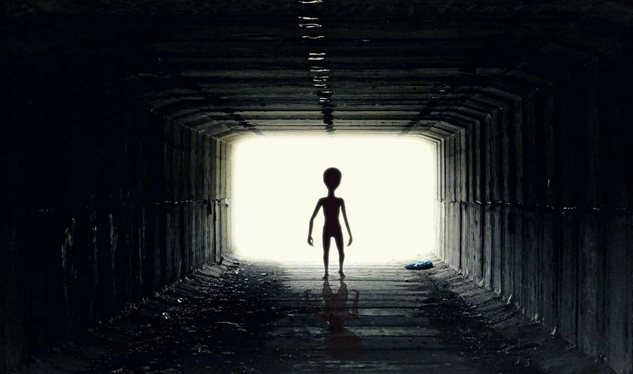 Qual seria a mensagem mais assustadora que poderíamos receber do ET?