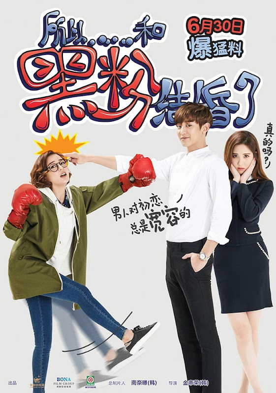 So I Married An Anti-Fan China / Korea Movie