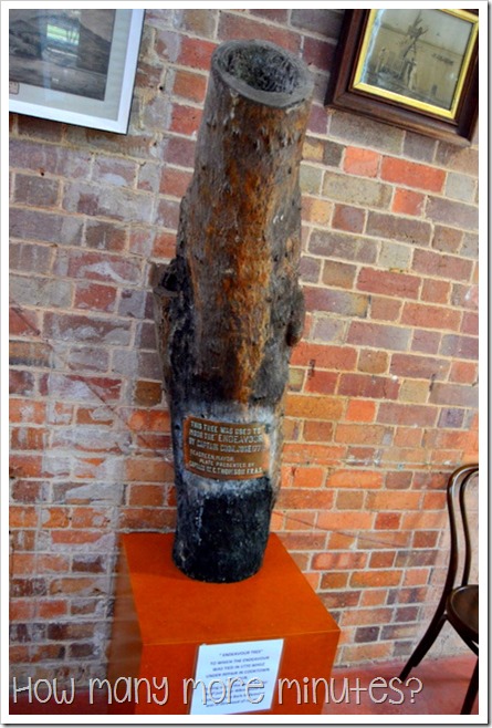 How Many More Minutes | James Cook Museum in Cooktown, QLD