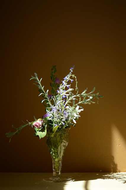 monday vase meme, rose sterling silver, leucophyllum, perovskia, convolvulus, salvia reptans, small sunny garden