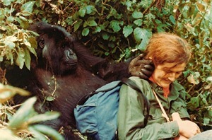 Dian Fossey e i gorilla