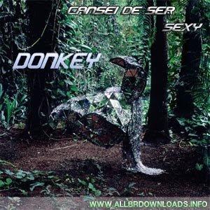 Cansei de Ser Sexy - Donkey (2008)