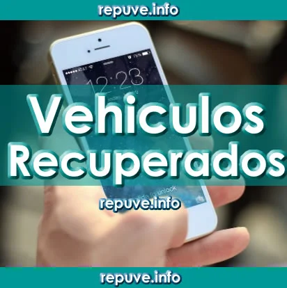 Registro de vehículos robados y recuperados