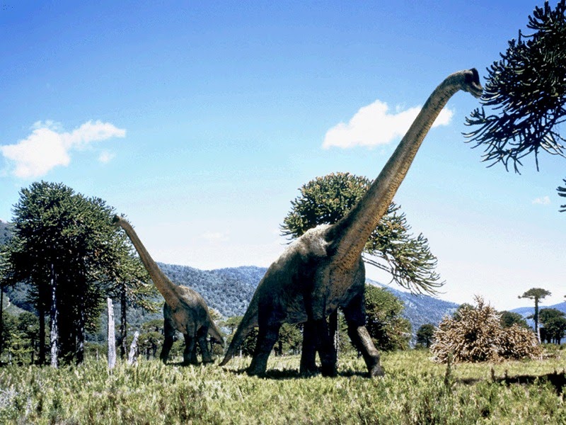 Sembilan Fakta Menarik Dinosaurus  ASDWIRA BLOG