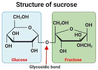 why sucrose is a non reducing sugar