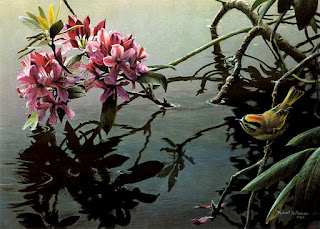 Golden-Crowned Kinglet and Rhododendron, 1982