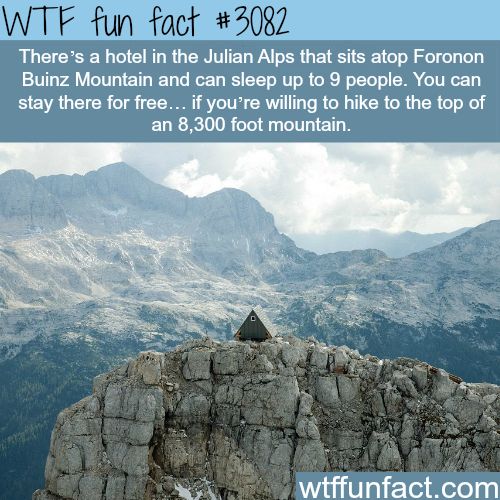 Amazing and Weird Facts