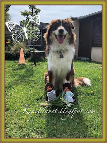 kiki monchhichi monchichi muguet 1er mai bonheur dog berger australien australien shepherd puppy