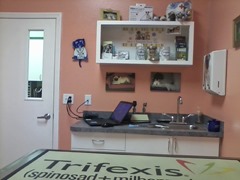 Vet Exam Room