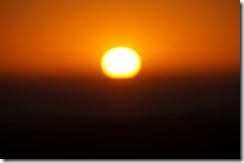 DSC00698