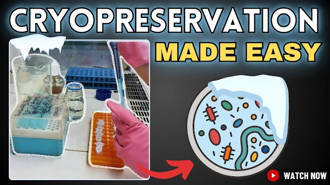 How to Prepare Bacterial Glycerol Stocks for Long-Term Preservation - Cryopreservation of Bacteria