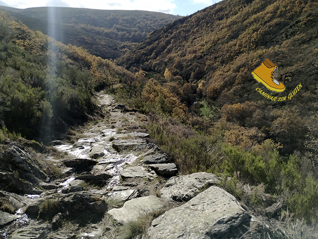 Calzada de piedra del Camino de los Carros o Ruta de los Vados