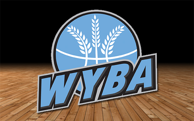 Image result for wyba logo