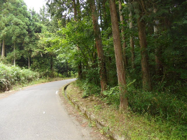 朝日リゾート横道登ります