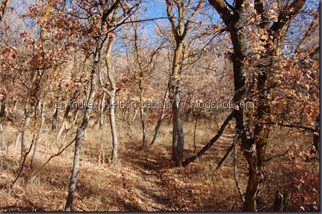DSC_0261 DSC_0261