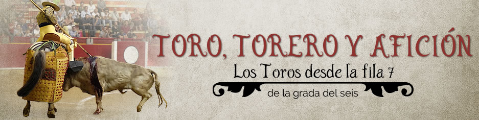Toro, Torero y Afición